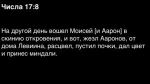 Числа, глава 17