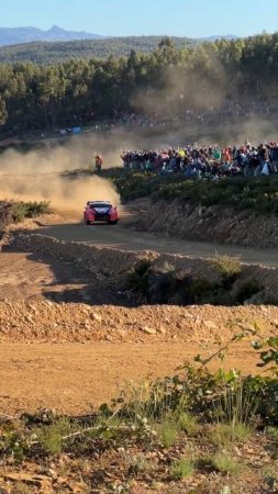 RAW Rally