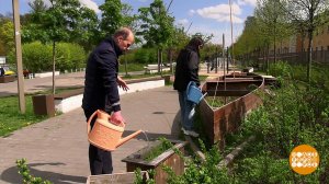 Общественный огород: грядка в центре мегаполиса. Доброе утро. Суббота. Фрагмент выпуска от 17.05....