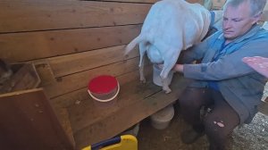 В четыре руки и Работа спорится