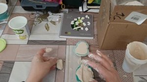 Новые молды