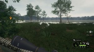 Охота на крокодила.