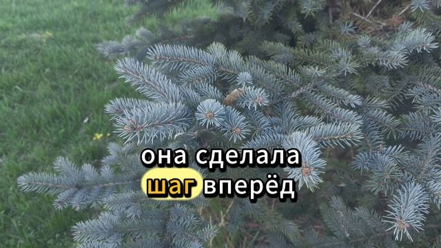 Свекровь при всех потребовала, чтобы беременная невес смотреть онлайн