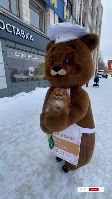 И даже шпиц Тортик And even Spitz Cakeживотныесобакашпицзвериdogптицыворонадрозд