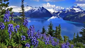 Очень хочется петь для Тебя # христианская песня