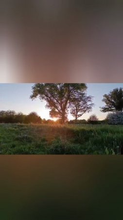 Прогулка с другом # вязание для начинающих # вязание крючком # вязание спицами # вязание игрушек