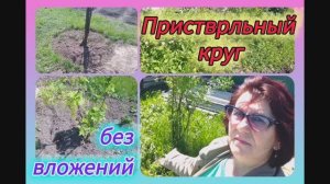 Приствольный круг для плодовых деревьев, абсолютно БЕСПЛАТНО!