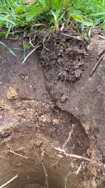 Как я беседку строила. #беседка #дача #лето смотреть онлайн