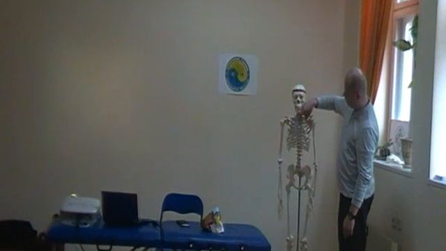 Семинар ВИСЦЕРАЛЬНАЯ ОСТЕОПАТИЯ 1 ВО1_14 смотреть онлайн