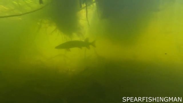 Ласкавий травень - Плащ Пальто смотреть онлайн