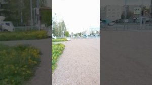 Интересные места Невского района
Иду, гуляю, пошли со мной