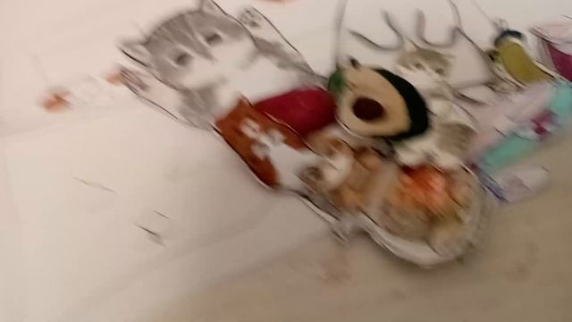 бумажные котики пришёл котик в гости и у него ночёвка смотреть онлайн