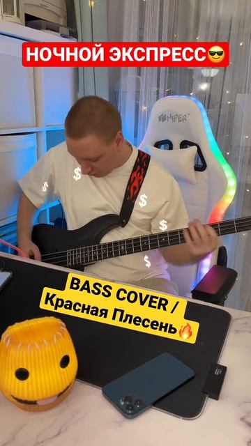 Ночной экспресс / Bass cover Красная Плесень @svishchev смотреть онлайн
