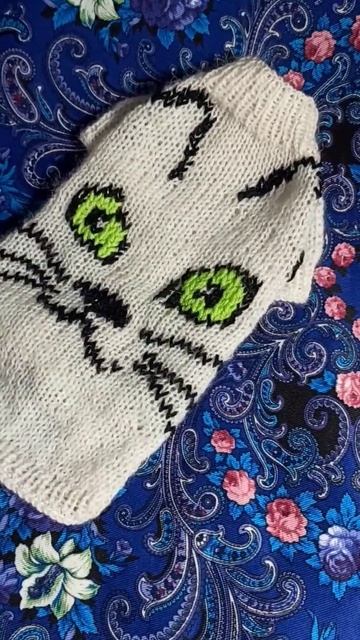 Свитер для котенка #одежда_для_животных #ангора #alize смотреть онлайн