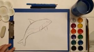 как нарисовать касатку