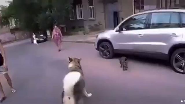 Как майк и роки помогали друг другу @husmut смотреть онлайн