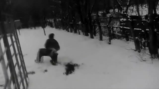 Снежок (B-TWIST) смотреть онлайн