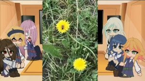 Реакция персонажей аниме "Академия ведьмочек " на т/и