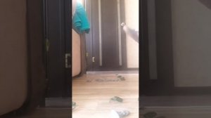 ГАВЕХА