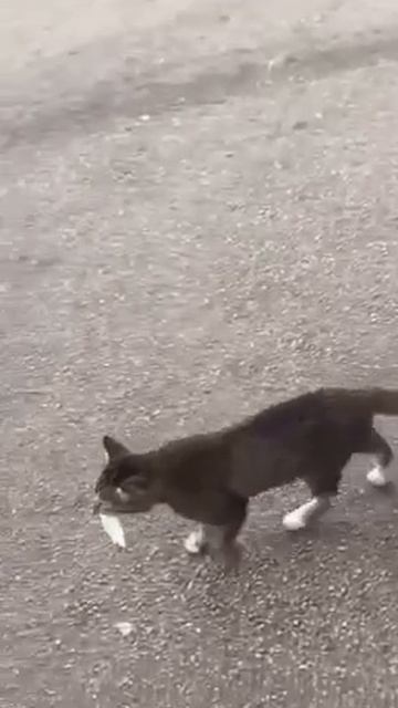 Попробуй мне что то доказать