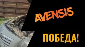 Авенсис Хаотично глохнет. Мы победили Часть 2
