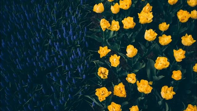 Коран - Сура 19 "Марьям" красивое чтение Корана смотреть онлайн