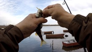 Рыбалка на окуня, он весь под лодкой,микро джиг рулит!