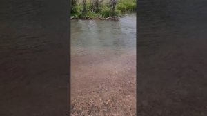 Спиннинг Jackall Timon T-CONNECTION STREAM TS-S56UL