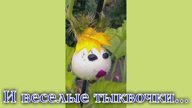 Дача - это волшебство