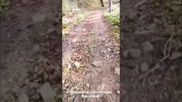 Бештау. Харизма Давида нравится всем. 2018 смотреть онлайн