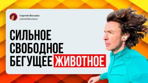 Cильное свободное бегущее животное