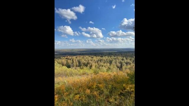 Пихтовый 2023 смотреть онлайн