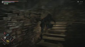 Demon's Souls | Кольцо долголетия | Как получить?