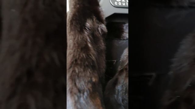 Видео шуба смотреть онлайн