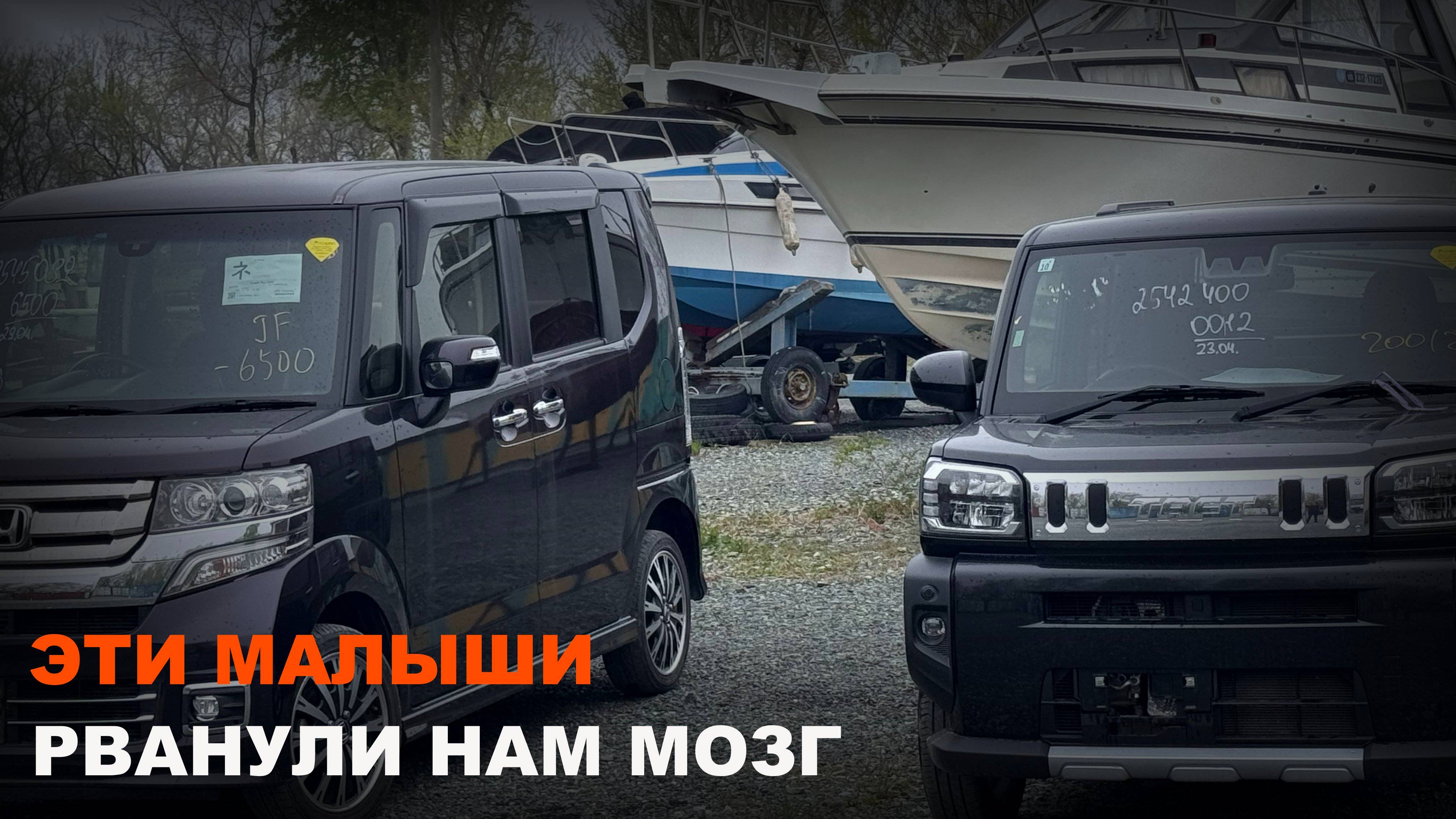 ЯПОНСКИЕ КАРЛИКИ-УБИЙЦЫ! АВТО НА ЗАКАЗ!