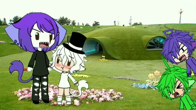 Не лезь дебил! Она тебя сожрёт! Meme. смотреть онлайн