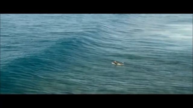 Отмель смотреть онлайн