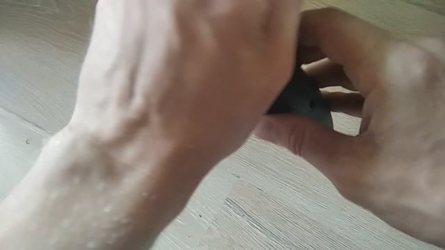 Капучинатор