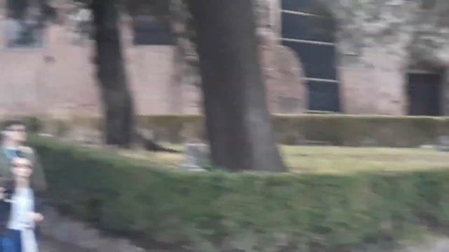 Весь Рим на ладони обзорная площадка @polsveta50 Roma Italy 🇮🇹 смотреть онлайн