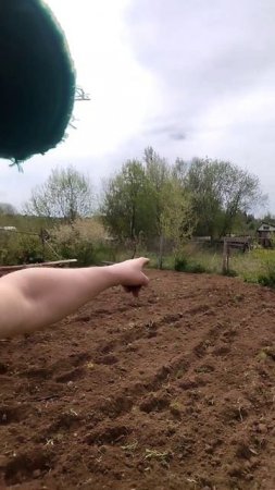 ОГОРОД