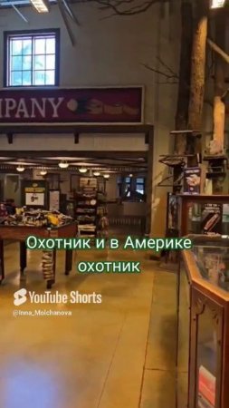 Таксидермисты-оформители 1000047865.mp4