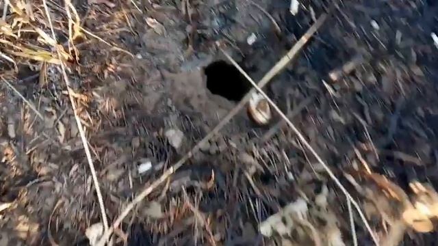 (Шок контент)Пожар на дерте ,восстановление дерта после пожара смотреть онлайн