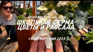 Школьная ферма: цветы и рассада.