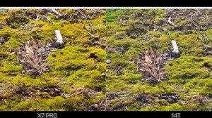 POCO X7 PRO vs XIAOMI 14T – Стоит ли ПЕРЕПЛАЧИВАТЬ? Какой Смартфо