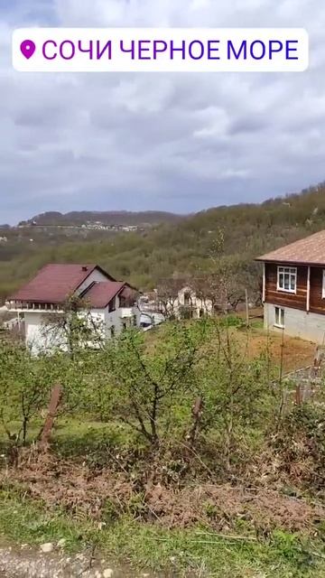 🔴 Купить квартиру в Сочи или дом можно дистанционно. Пишите запрос, организую онлайн показ #shorts