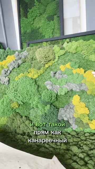 Картина  из мха
