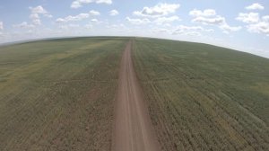 Поля #FPV #cinematic