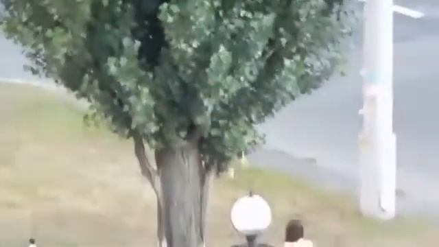 Ползком до дому  Прикол смотреть онлайн