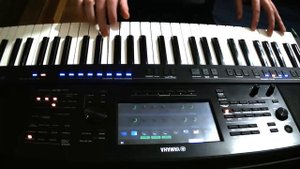 Девочка в платье из ситца (моя версия песни Аркадия Се?