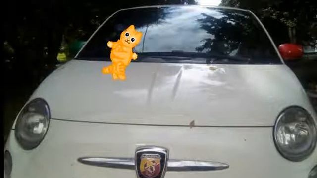 Прыг скок, через машину рыжий кот смело топает, топ топ смотреть онлайн